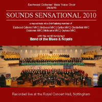Sounds Sensational 2010 CD cover