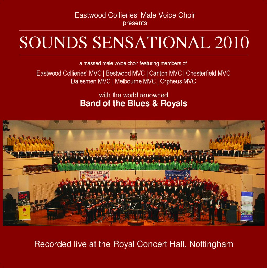 Sounds Sensational 2010