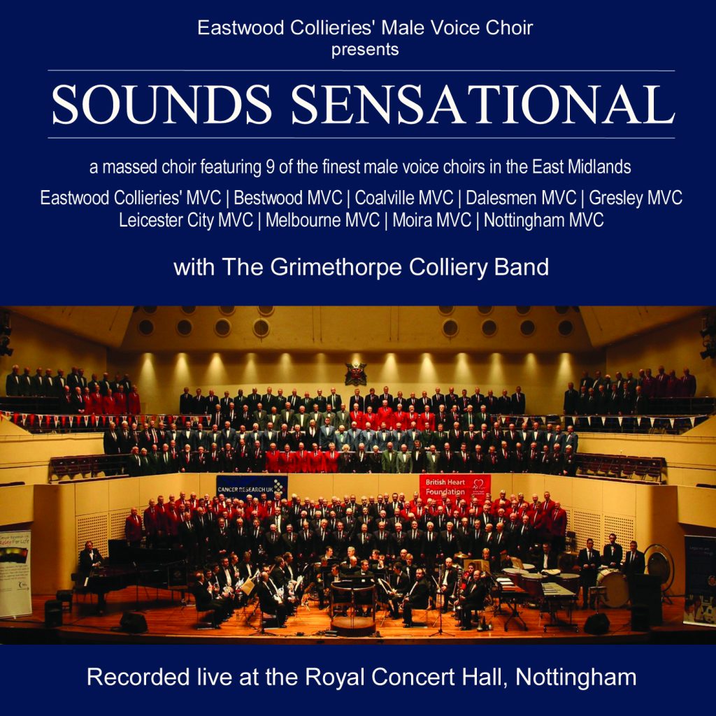 Sounds Sensational 2008